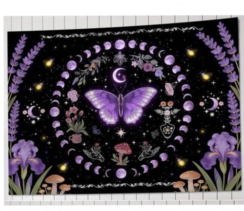 Moon phases butterfly wall - phases,